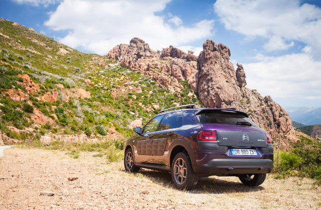 citroen cactus purple 