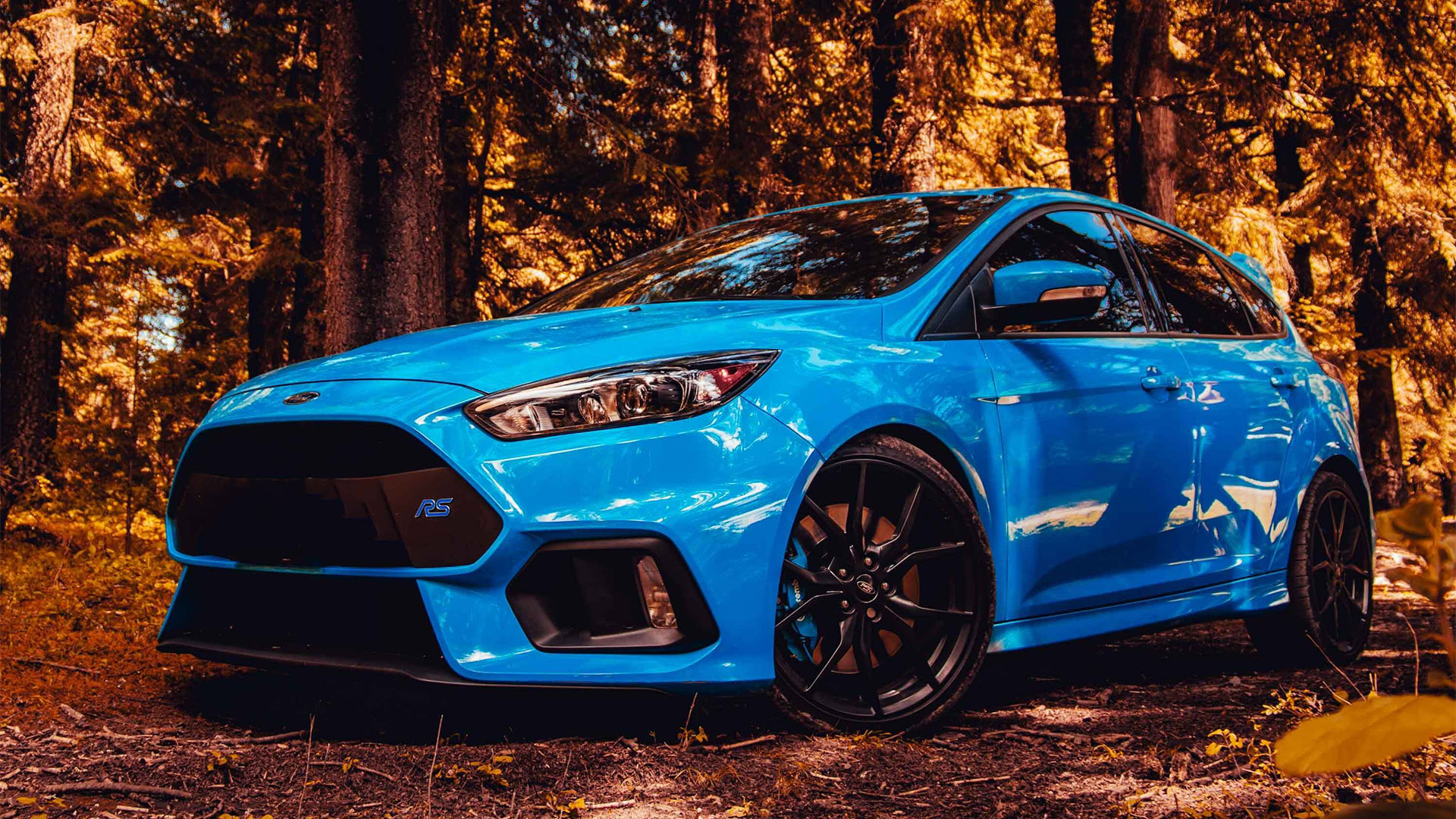 Ford Focus RS Car Insurance Header Image