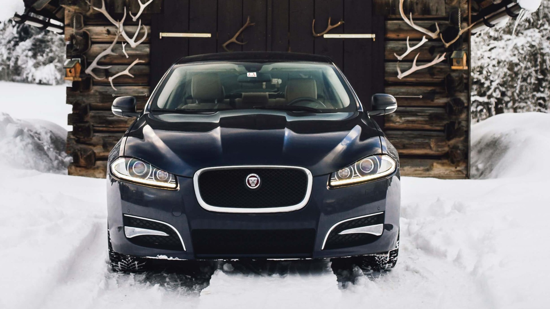 Jaguar XJ Car Insurance Header Image