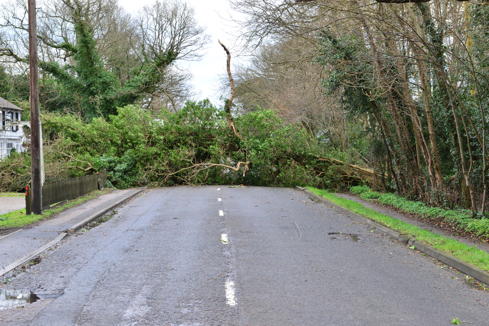 WATCH: Trampoline Blown onto Motorway amid Storm Brendan Header Image