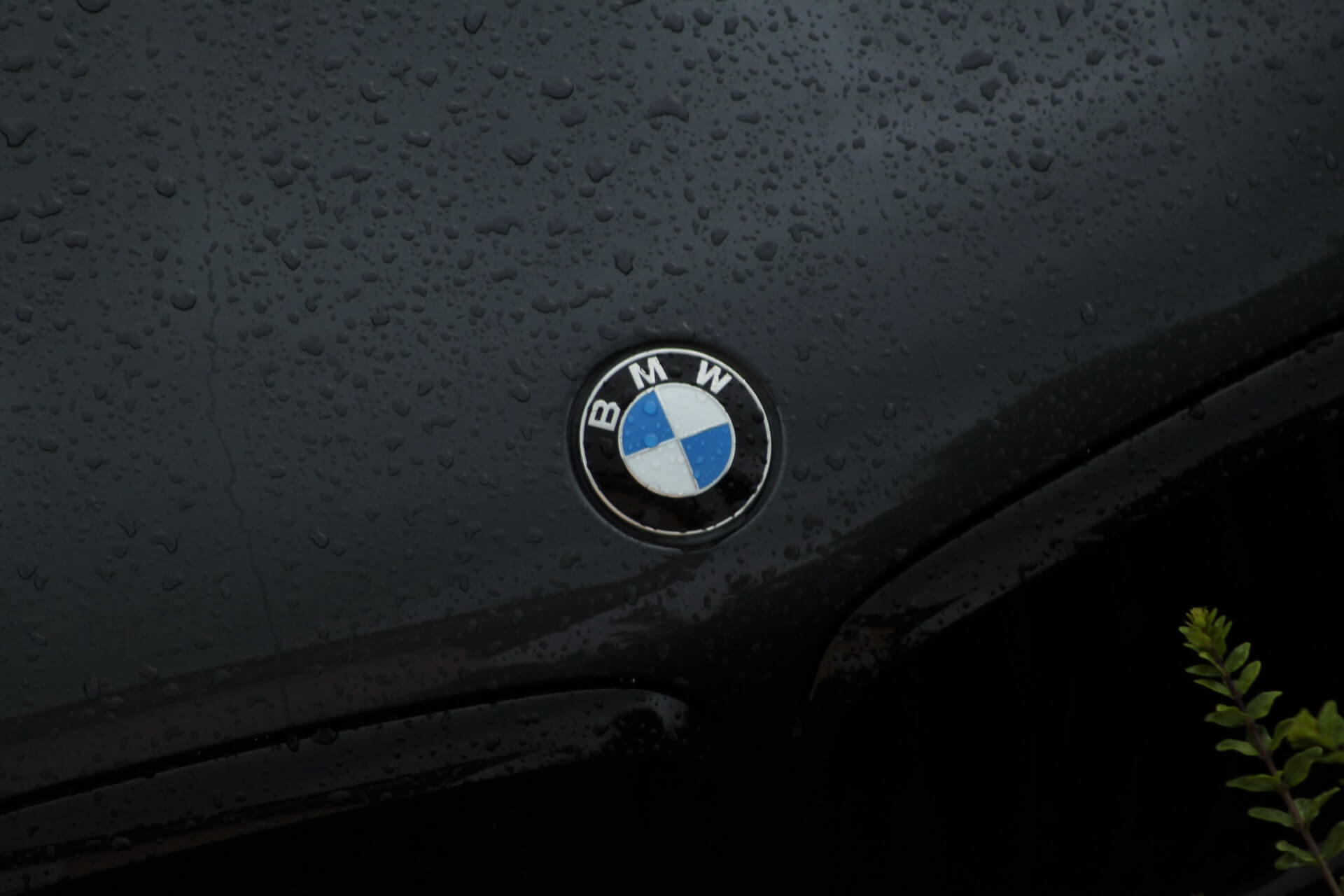 BMW i4 M50 Insurance Header Image