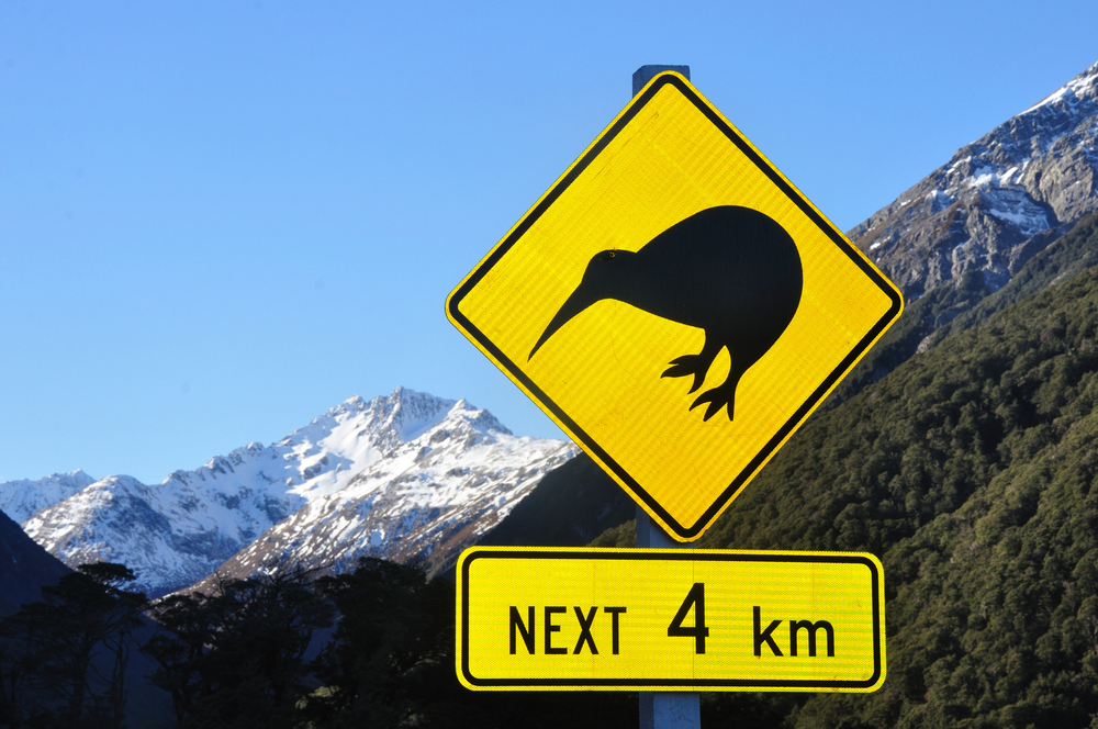 Car Insurance for New Zealand Drivers in the UK Header Image